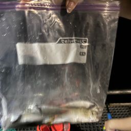 アジ