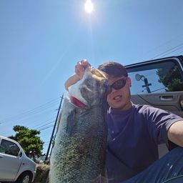 ブラックバス
