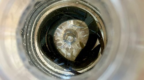 ウナギの釣果