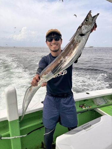 タチウオの釣果