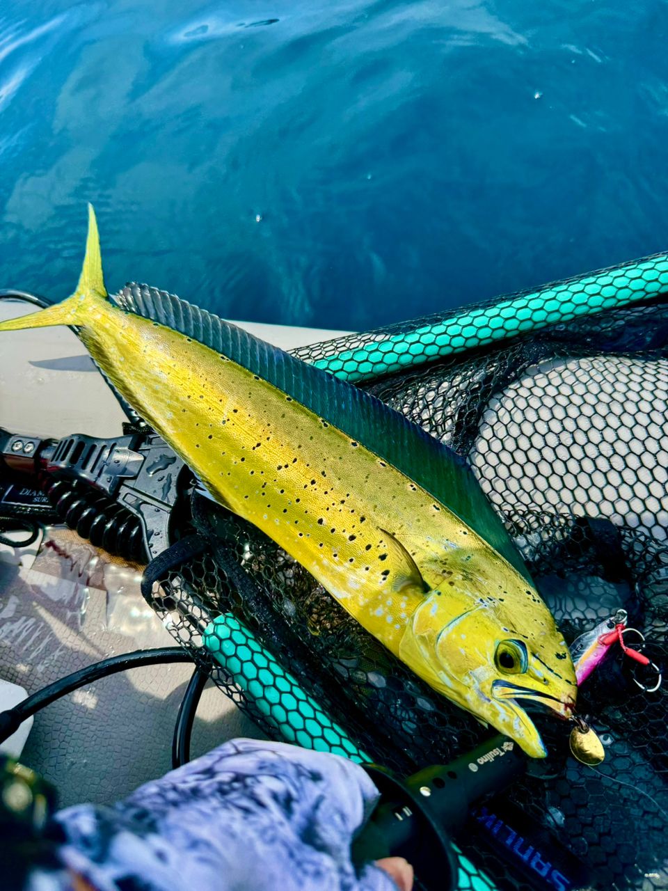 XESTA スクランブル スーパーライトスペック S63UL-Tの最安値