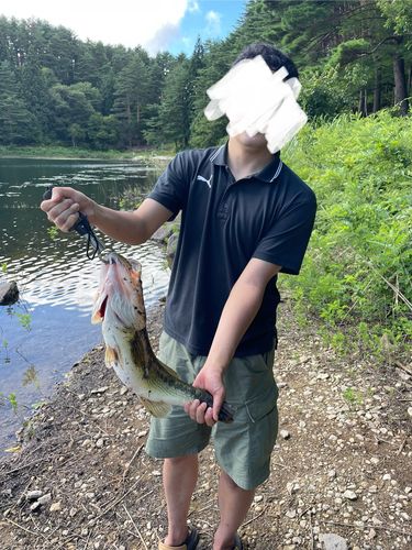 ラージマウスバス