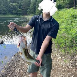 ラージマウスバス