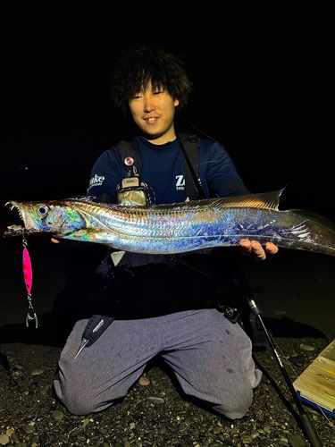 タチウオの釣果