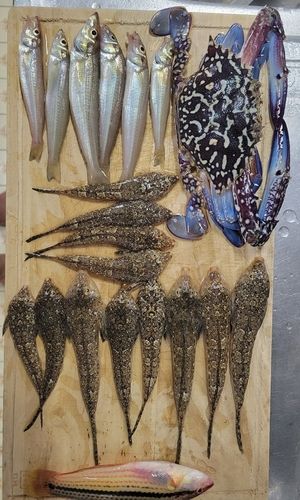 タイワンガザミの釣果