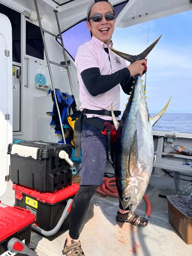 キハダマグロの釣果