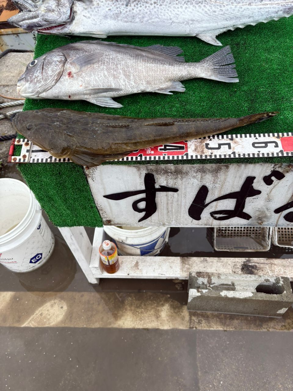 浅海さんの釣果 2枚目の画像