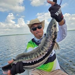 ジャイアントスネークヘッド