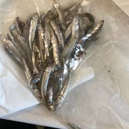 チアユ