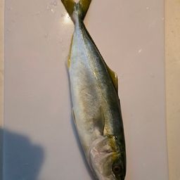 ワカシ
