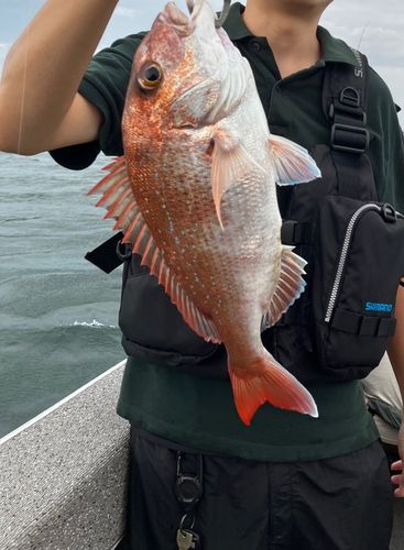 タイの釣果