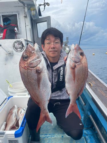 マダイの釣果