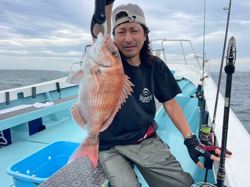 マダイの釣果