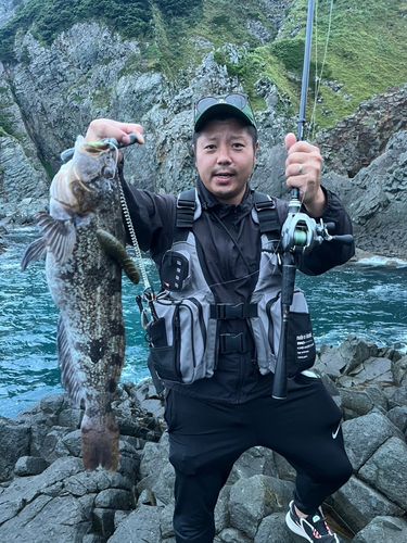 アイナメの釣果