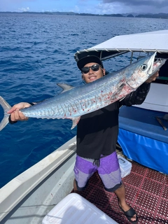 サワラの釣果