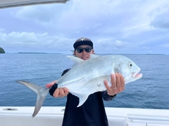 GTの釣果