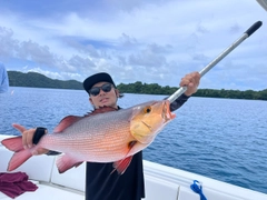 バラフエダイの釣果