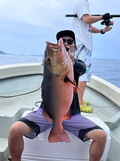 バラフエダイの釣果