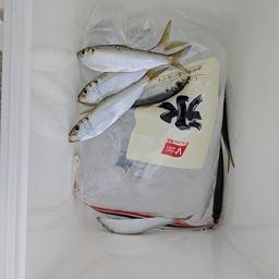 サッパ