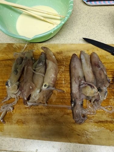 釣果