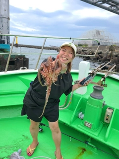 マダコの釣果