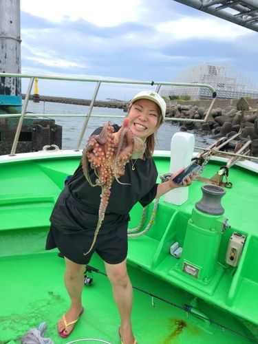 マダコの釣果