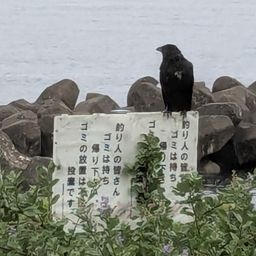 チャリコ