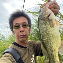 ブラックバス