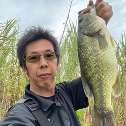 ブラックバス