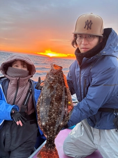 ヒラメの釣果