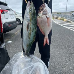タイ