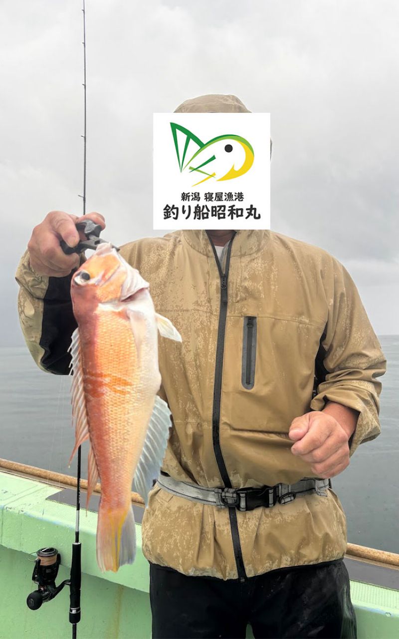 新潟寝屋港昭和丸さんの釣果 1枚目の画像