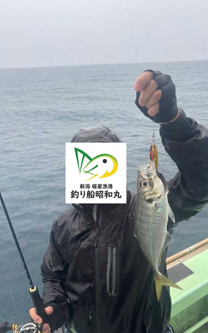 新潟寝屋港昭和丸さんの釣果 2枚目の画像
