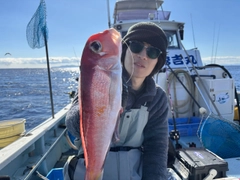 アマダイの釣果