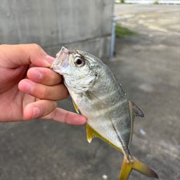 メッキ