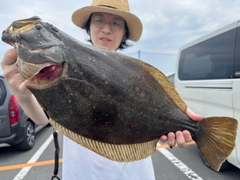 ヒラメの釣果