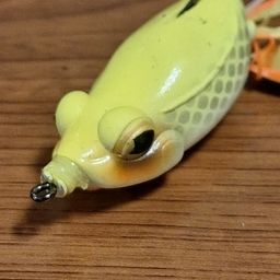 マナマズ