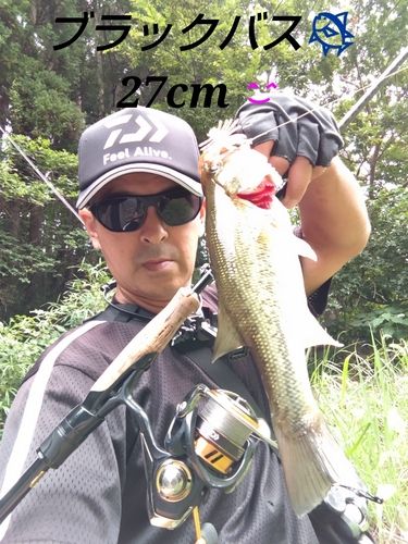 ブラックバスの釣果