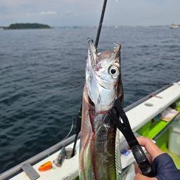 タチウオ