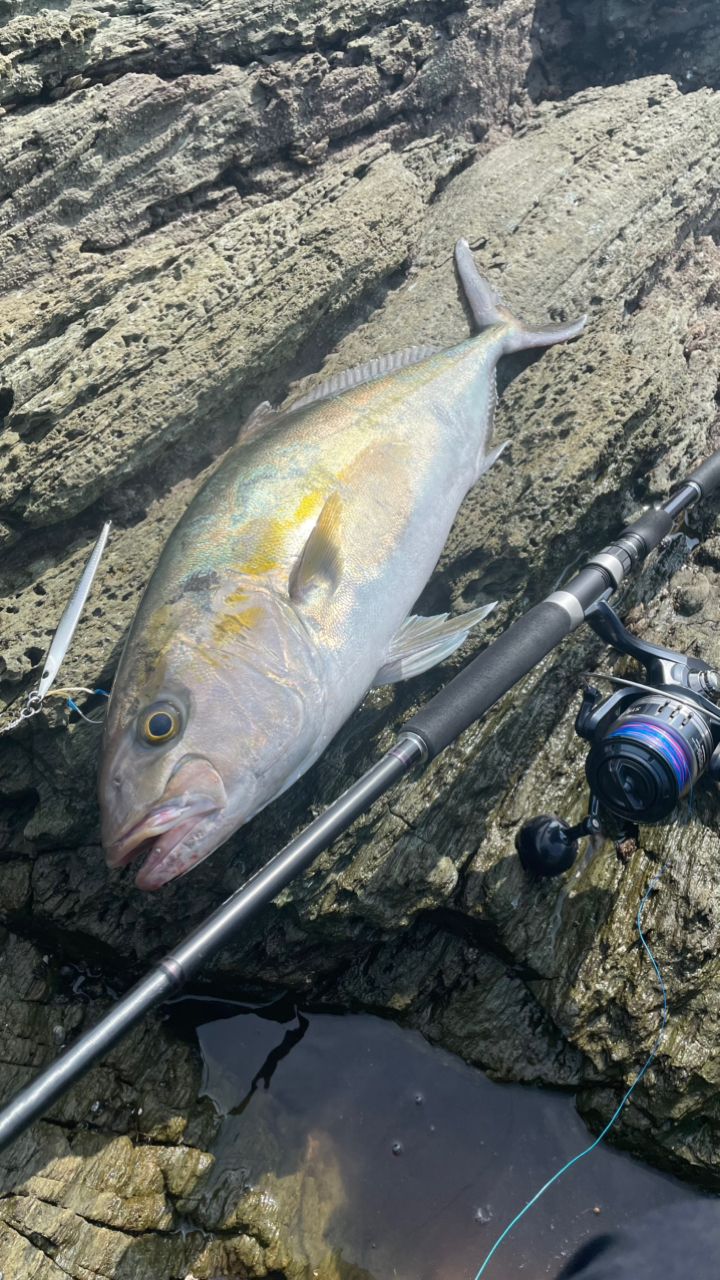 SHIMANO 19コルトスナイパー SS S96Hの最安値・インプレ・釣果 | 本音