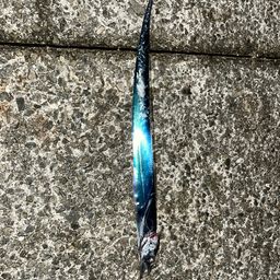 タチウオ