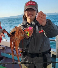 タコの釣果