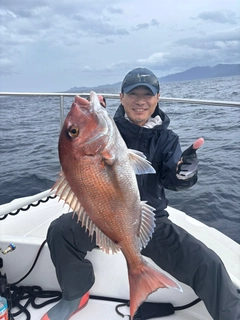 タイの釣果