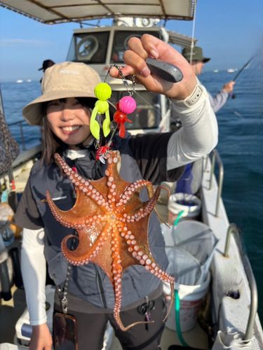 タコの釣果