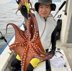 タコの釣果