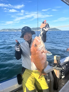 タコの釣果