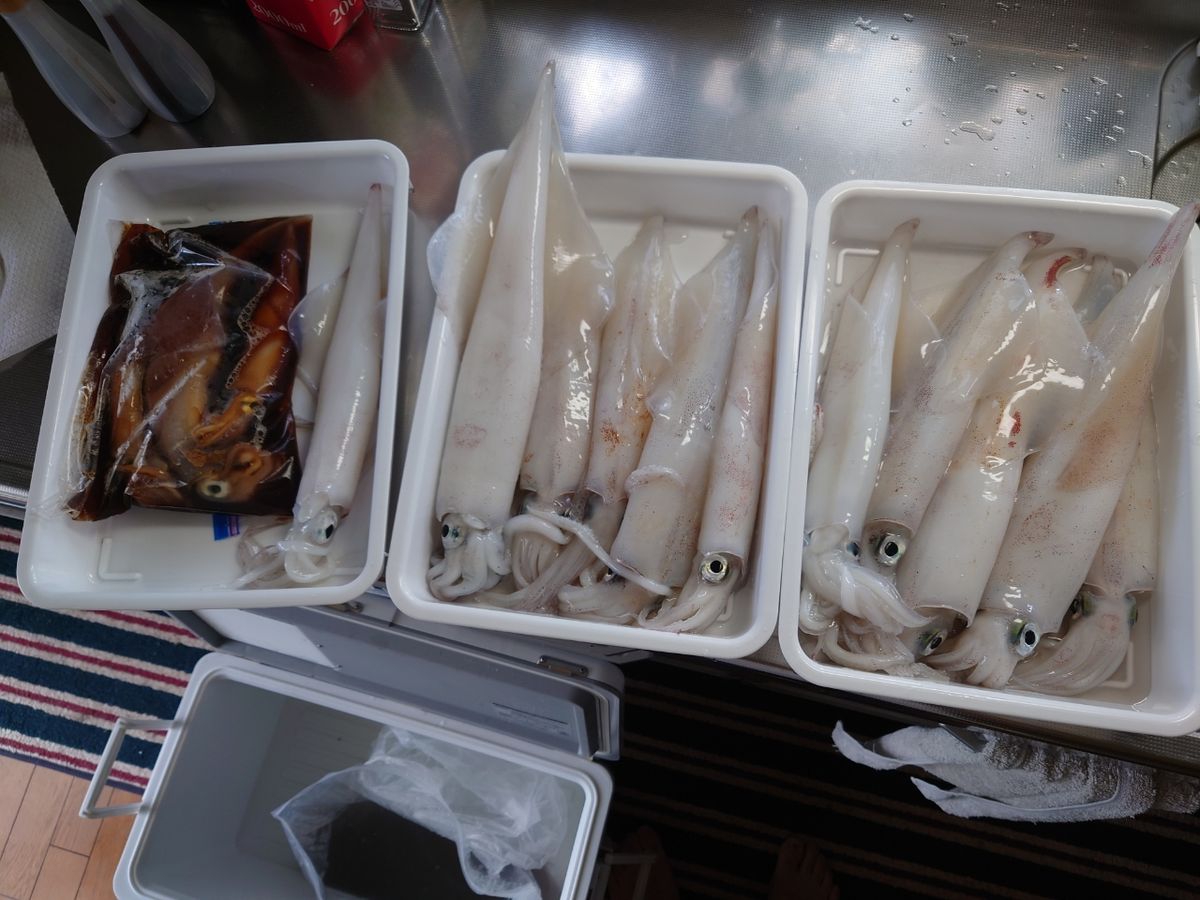 クロタカさんの釣果 1枚目の画像