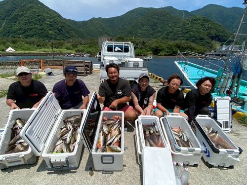 イサキの釣果