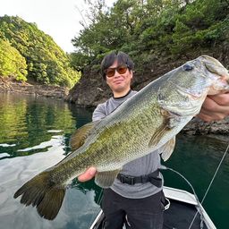 ブラックバス