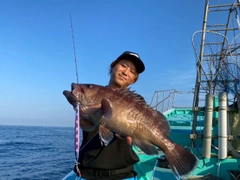 マハタの釣果